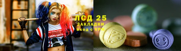 хмурый Липки