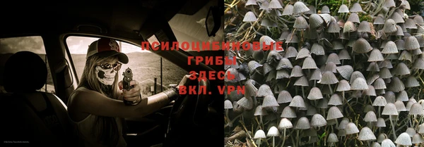 метадон Ладушкин