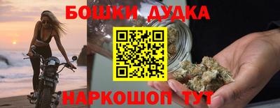 хмурый Дубна