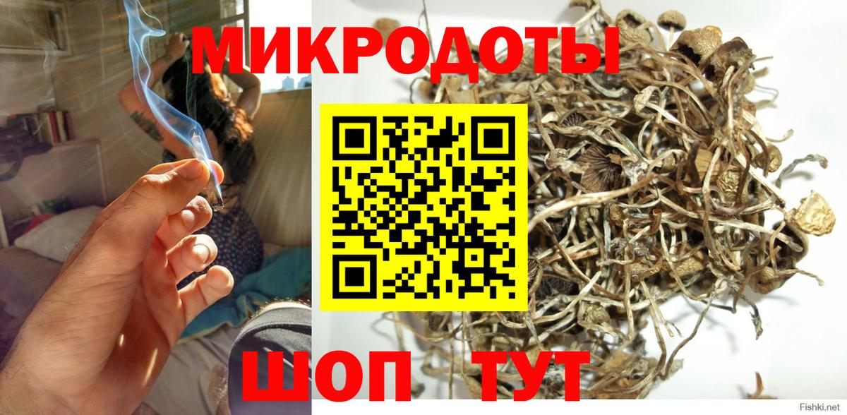 дарнет шоп  Псилоцибиновые грибы Psilocybine cubensis  Луховицы  Вход с VPN  Галлюциногенные грибы мицелий 