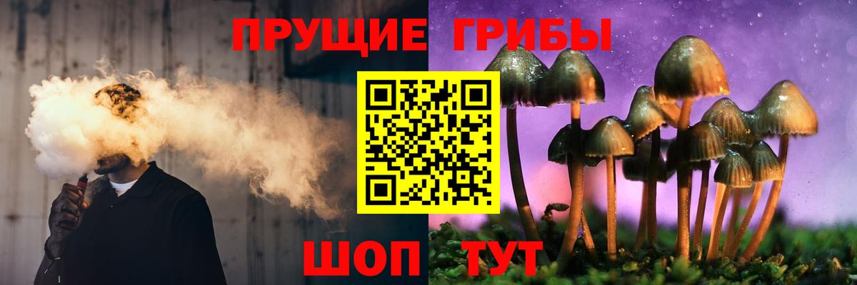 Галлюциногенные грибы мицелий  сколько стоит  Луховицы 