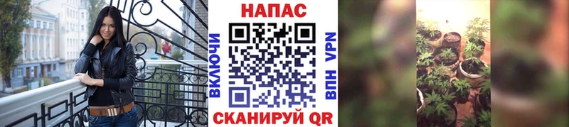 Бошки Шишки марихуана Луховицы